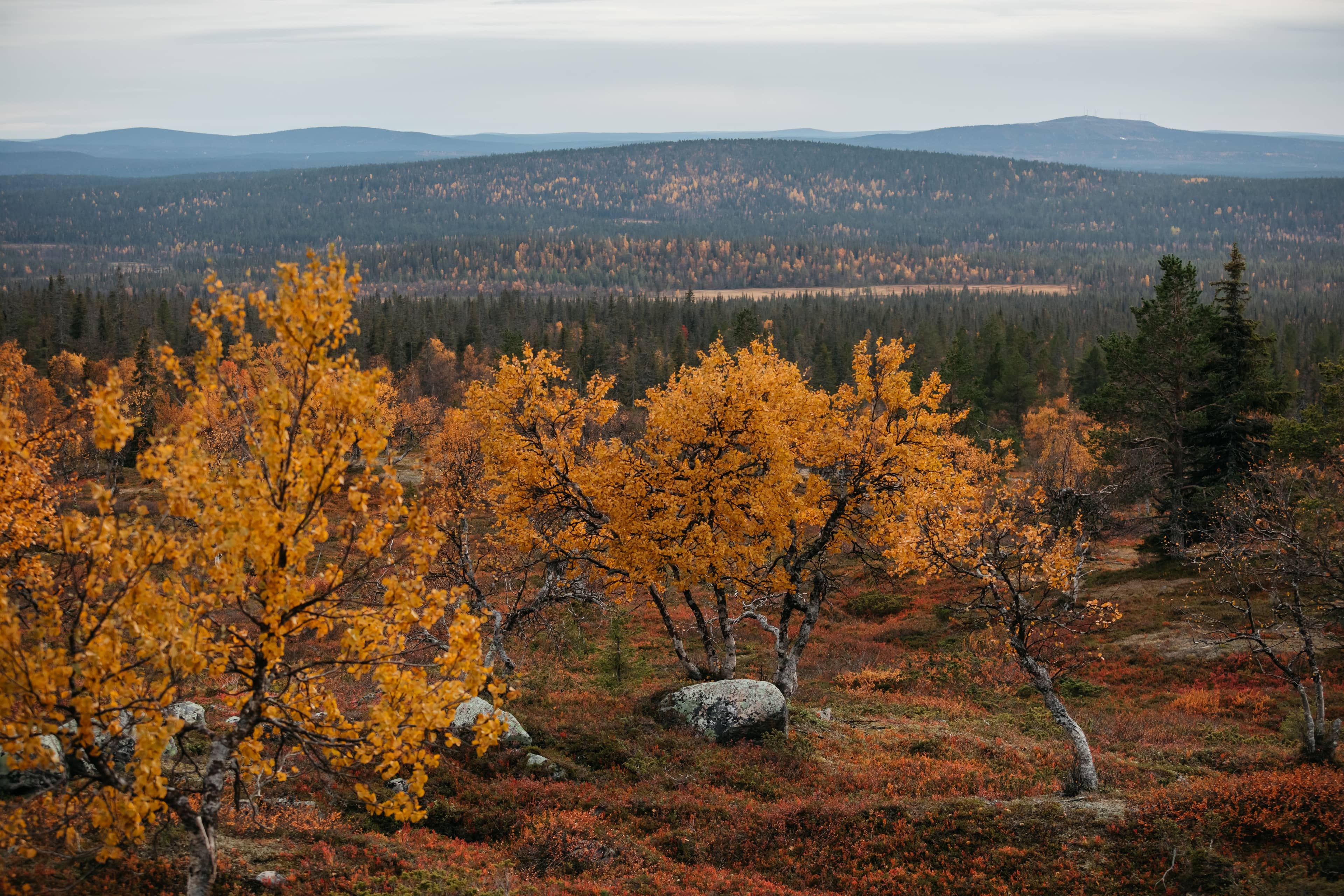 Lapland Hotels Pallas