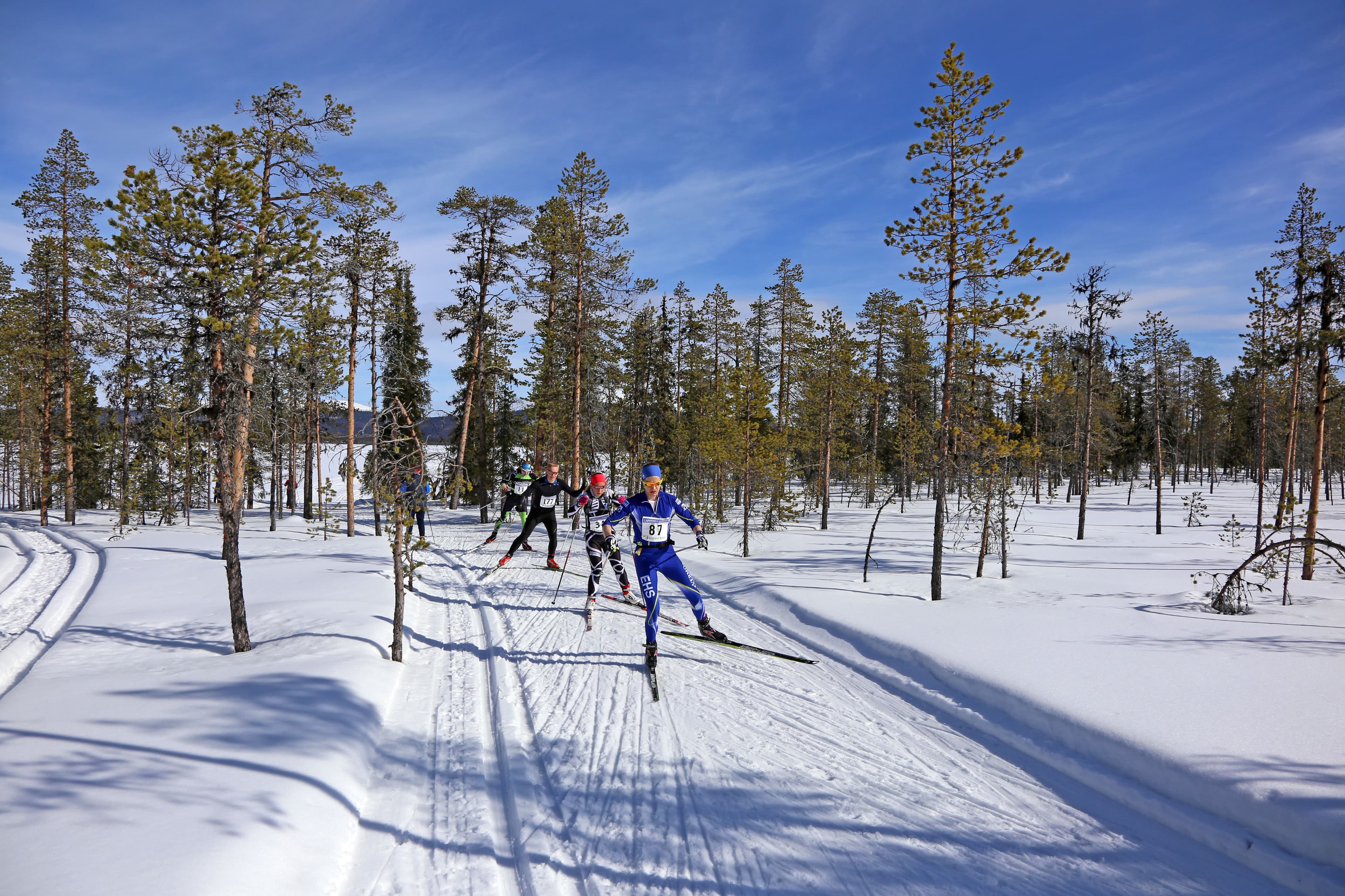Lapponia ski week in Olos