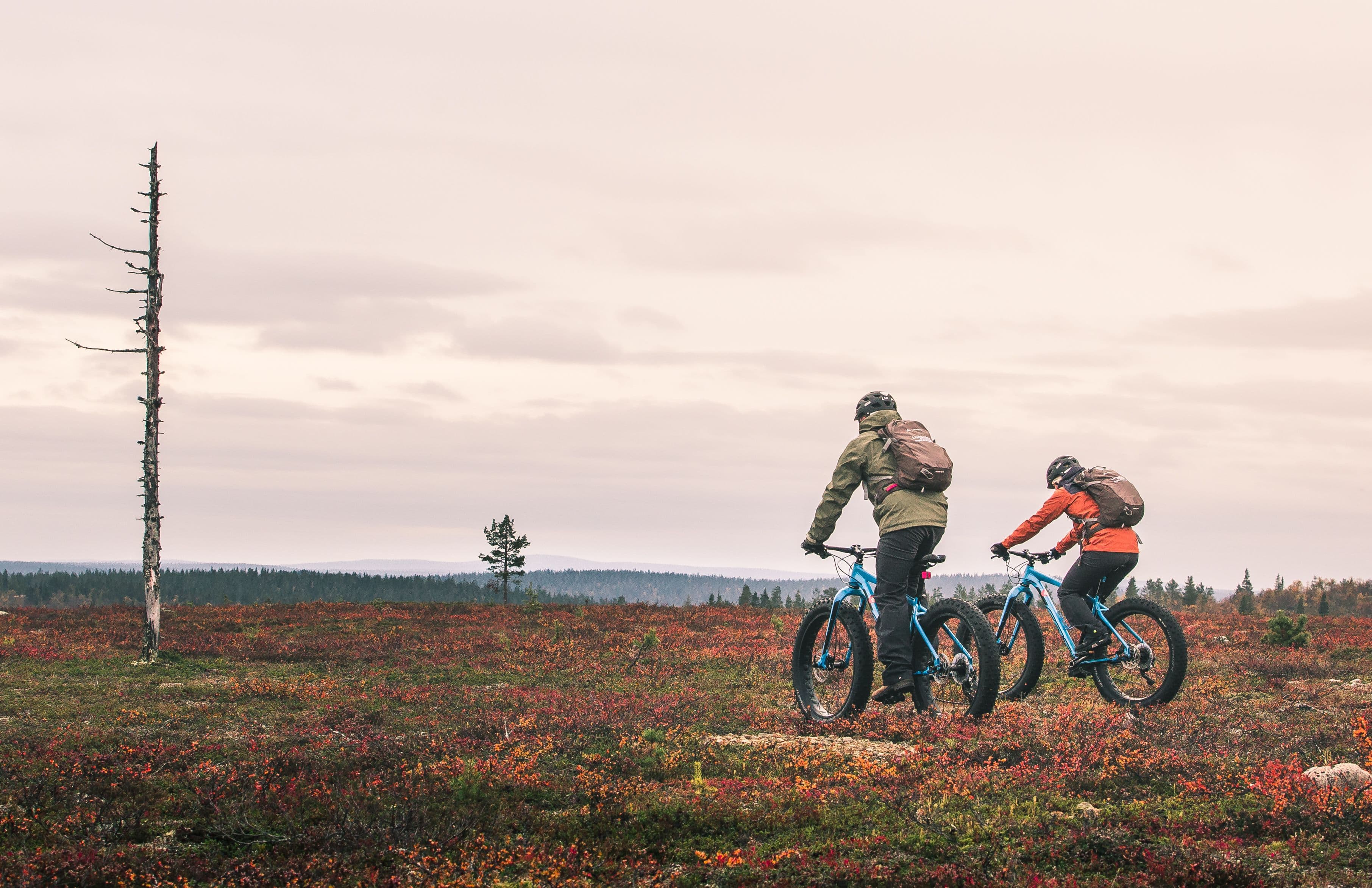 Lapland Safaris hiking fatbike autumn Saariselkä