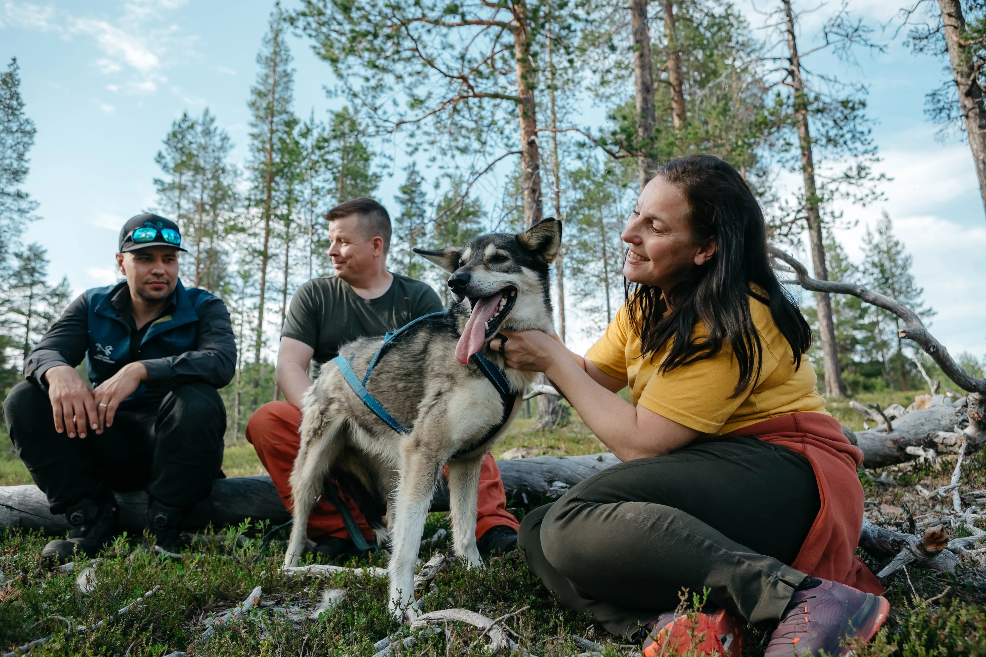 Hotels In Lapland Lapland Hotels hotels-in-lapland-lapland-hotels
